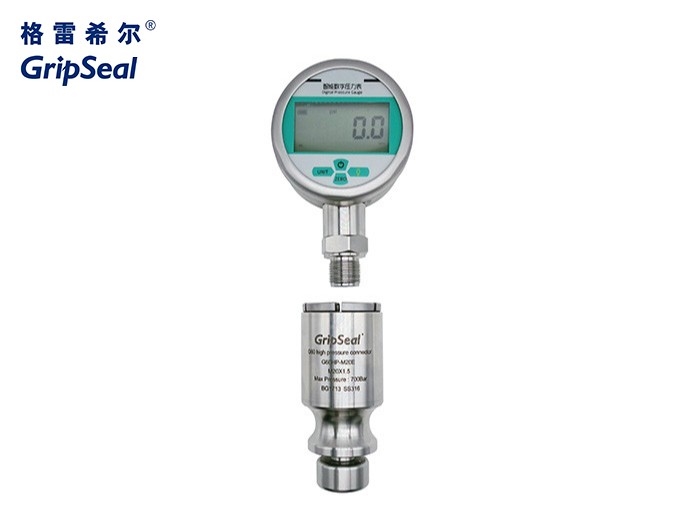 適用于儀器儀表行業(yè)的G60系列高壓外螺紋密封測(cè)試接頭