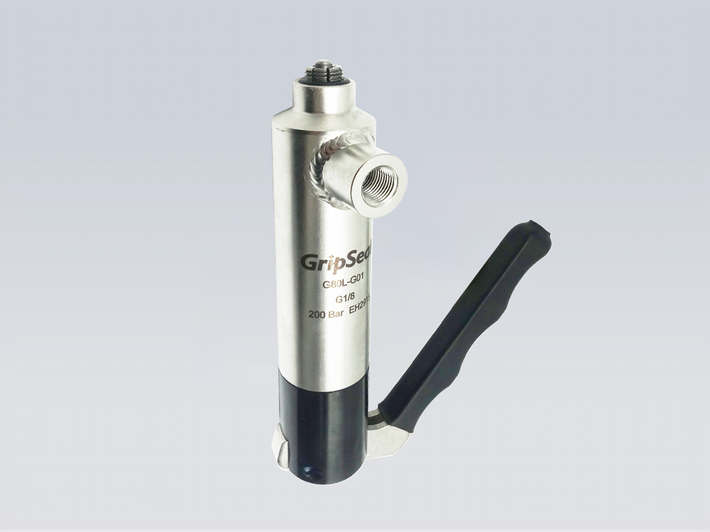 G80系列內(nèi)螺紋密封測試接頭